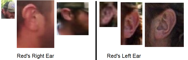 Red Beard's ears